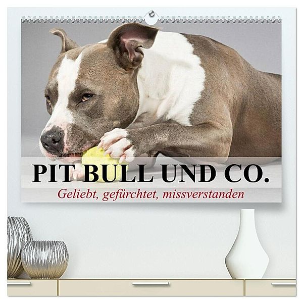 Pit Bull und Co. - Geliebt, gefürchtet, missverstanden (hochwertiger Premium Wandkalender 2024 DIN A2 quer), Kunstdruck in Hochglanz, Elisabeth Stanzer