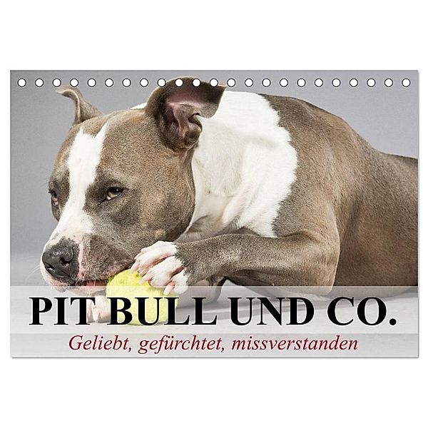 Pit Bull und Co. - Geliebt, gefürchtet, missverstanden (Tischkalender 2024 DIN A5 quer), CALVENDO Monatskalender, Elisabeth Stanzer