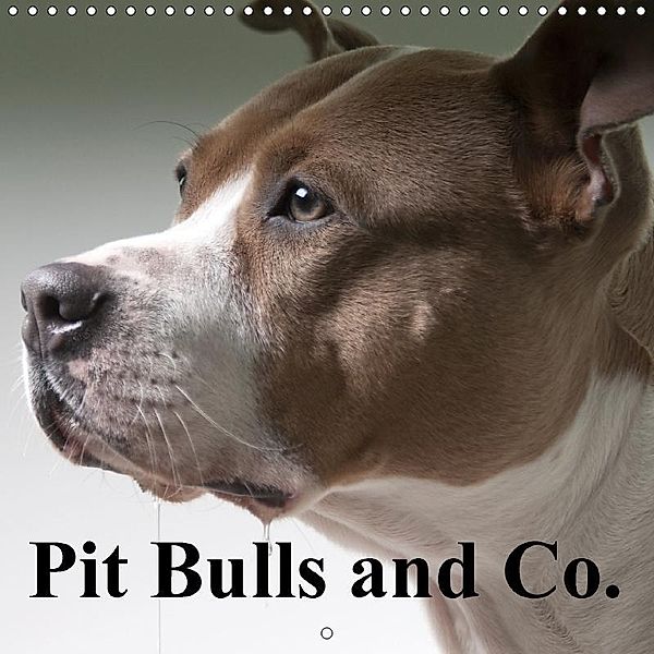 Pit Bulls and Co. (Wall Calendar 2017 300 × 300 mm Square), Elisabeth Stanzer