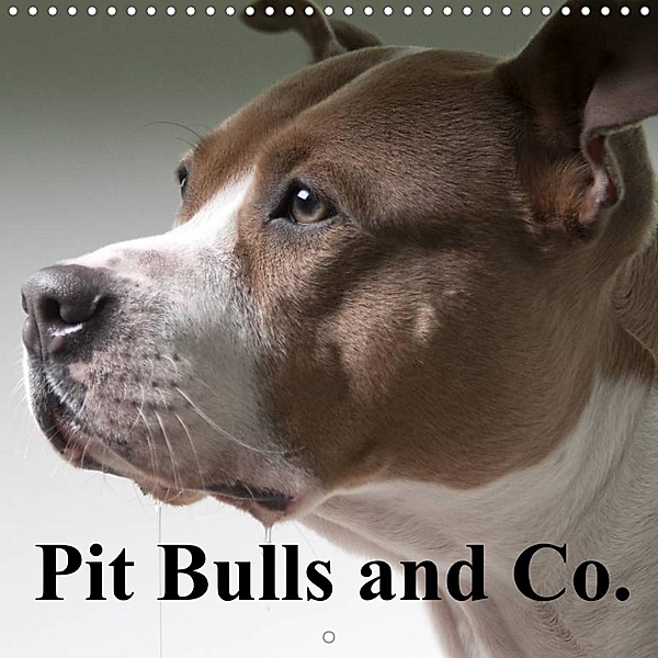 Pit Bulls and Co. (Wall Calendar 2022 300 × 300 mm Square), Elisabeth Stanzer