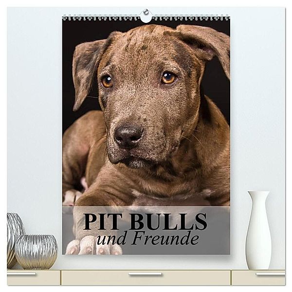 Pit Bulls und Freunde (hochwertiger Premium Wandkalender 2024 DIN A2 hoch), Kunstdruck in Hochglanz, Elisabeth Stanzer