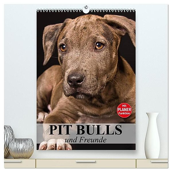 Pit Bulls und Freunde (hochwertiger Premium Wandkalender 2024 DIN A2 hoch), Kunstdruck in Hochglanz, Elisabeth Stanzer