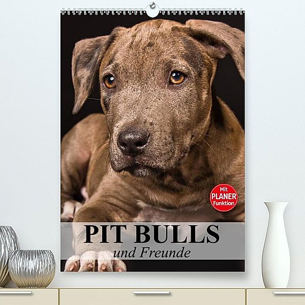 Pit Bulls und Freunde (Premium, hochwertiger DIN A2 Wandkalender 2023, Kunstdruck in Hochglanz), Elisabeth Stanzer