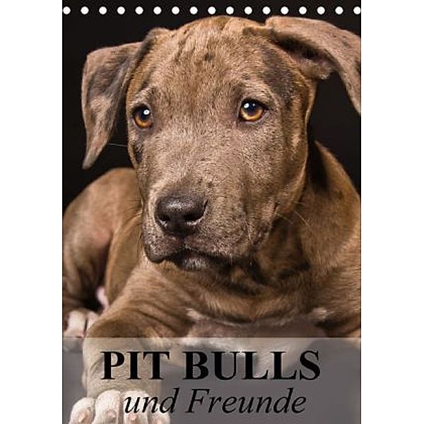 Pit Bulls und Freunde (Tischkalender 2015 DIN A5 hoch), Elisabeth Stanzer