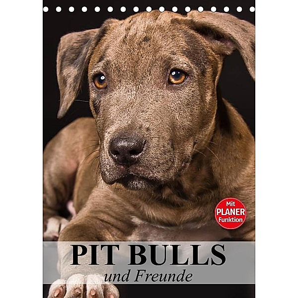 Pit Bulls und Freunde (Tischkalender 2023 DIN A5 hoch), Elisabeth Stanzer
