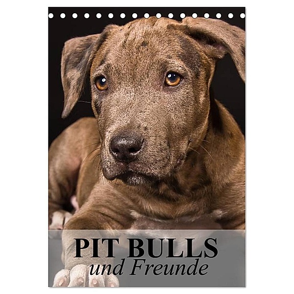 Pit Bulls und Freunde (Tischkalender 2024 DIN A5 hoch), CALVENDO Monatskalender, Elisabeth Stanzer