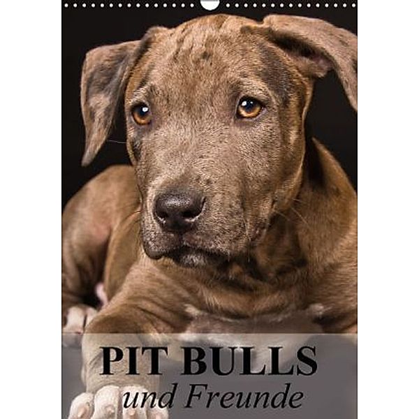 Pit Bulls und Freunde (Wandkalender 2015 DIN A3 hoch), Elisabeth Stanzer