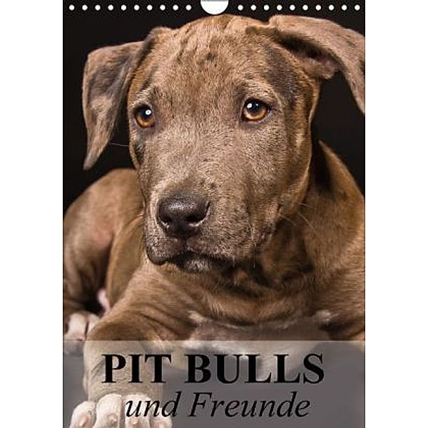 Pit Bulls und Freunde (Wandkalender 2015 DIN A4 hoch), Elisabeth Stanzer