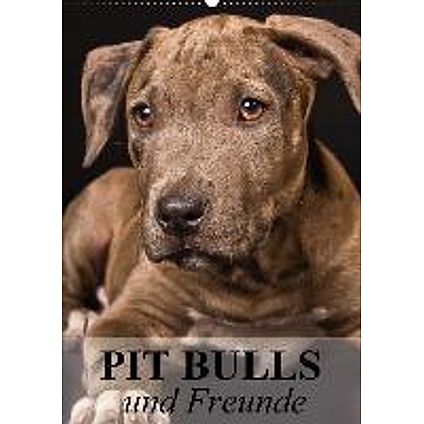 Pit Bulls und Freunde (Wandkalender 2016 DIN A2 hoch), Elisabeth Stanzer