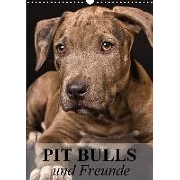 Pit Bulls und Freunde (Wandkalender 2016 DIN A3 hoch), Elisabeth Stanzer
