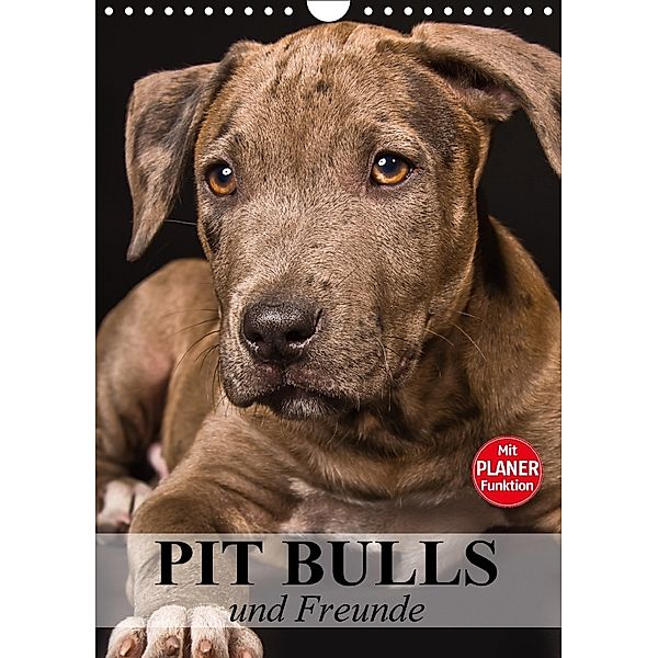 Pit Bulls und Freunde (Wandkalender 2018 DIN A4 hoch), Elisabeth Stanzer