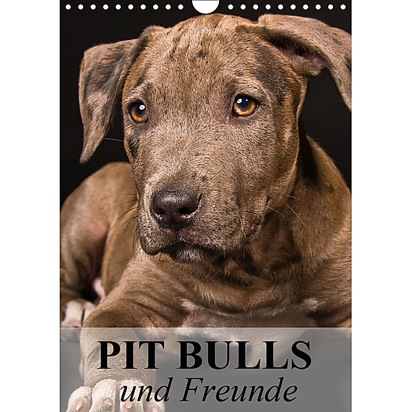 Pit Bulls und Freunde (Wandkalender 2019 DIN A4 hoch), Elisabeth Stanzer