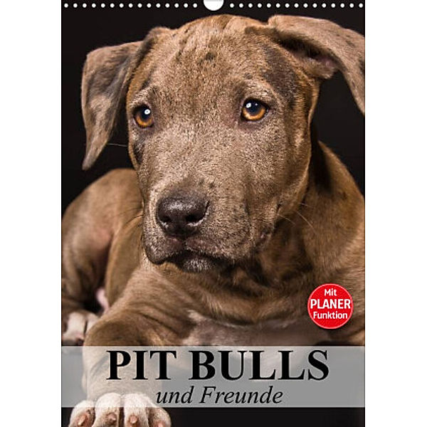 Pit Bulls und Freunde (Wandkalender 2022 DIN A3 hoch), Elisabeth Stanzer
