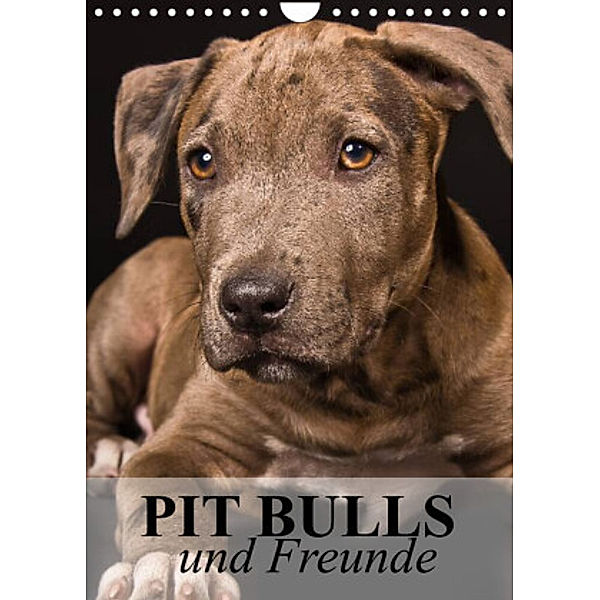 Pit Bulls und Freunde (Wandkalender 2022 DIN A4 hoch), Elisabeth Stanzer