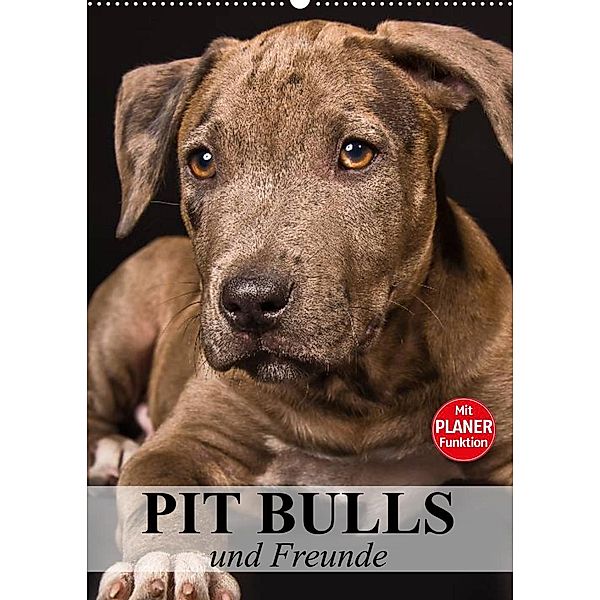 Pit Bulls und Freunde (Wandkalender 2023 DIN A2 hoch), Elisabeth Stanzer