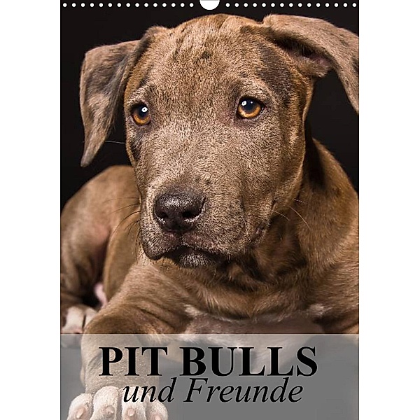 Pit Bulls und Freunde (Wandkalender 2023 DIN A3 hoch), Elisabeth Stanzer