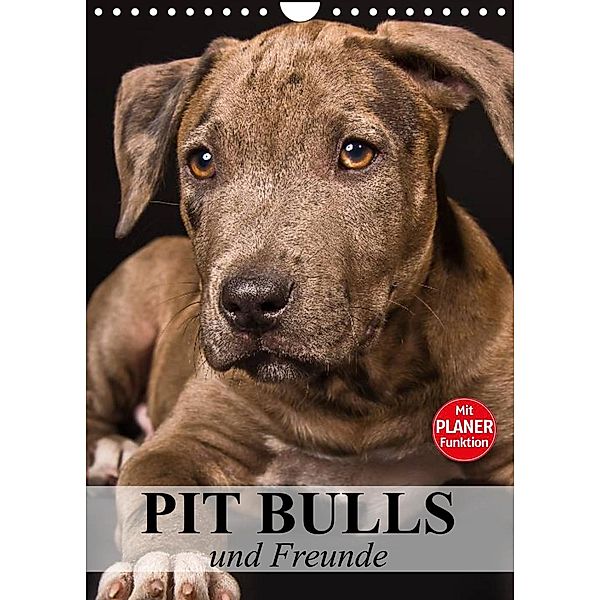 Pit Bulls und Freunde (Wandkalender 2023 DIN A4 hoch), Elisabeth Stanzer