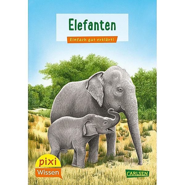 Pixi Wissen 18: VE 5 Elefanten, Hanna Sörensen