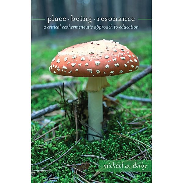 Place, Being, Resonance / Critical Qualitative Research Bd.18, Michael W. Derby