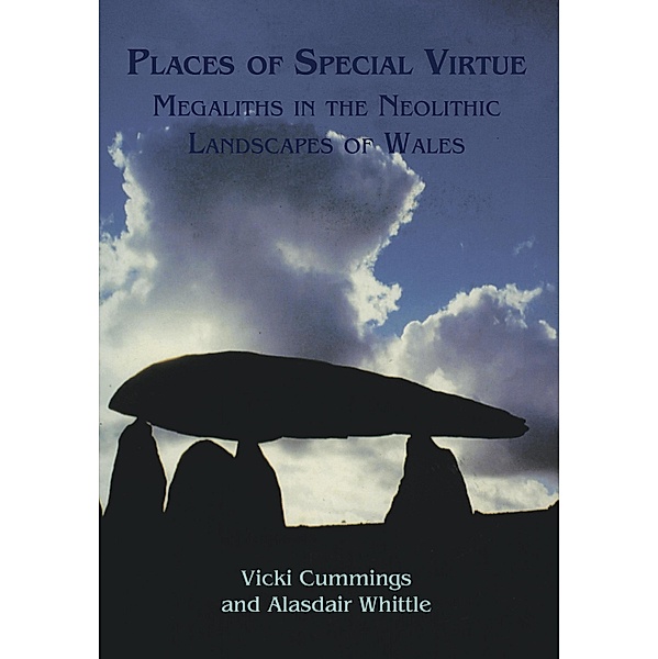 Places of Special Virtue, Vicki Cummings
