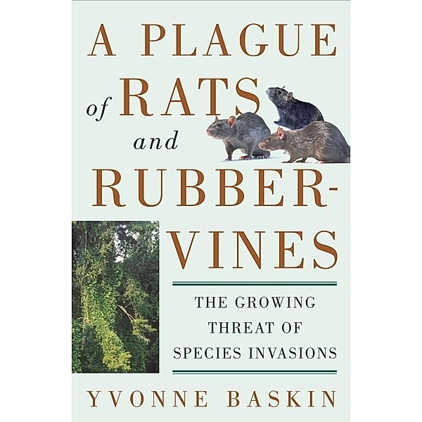 Plague of Rats and Rubbervines, Yvonne Baskin
