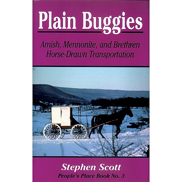 Plain Buggies, Stephen Scott