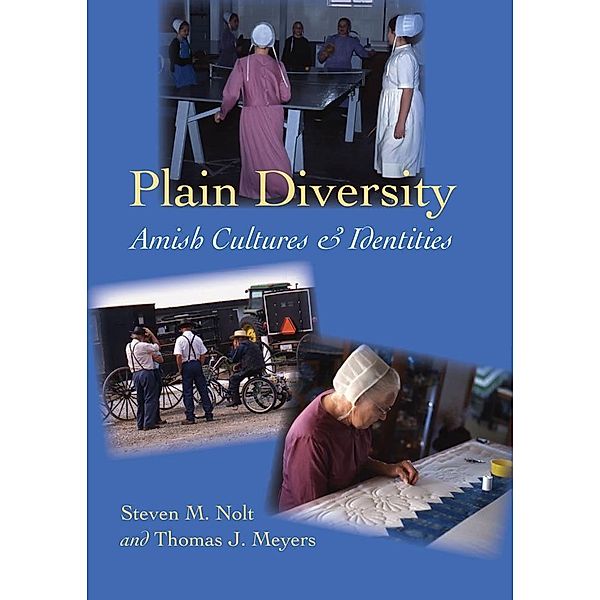 Plain Diversity, Steven M. Nolt