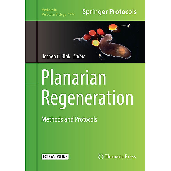 Planarian Regeneration