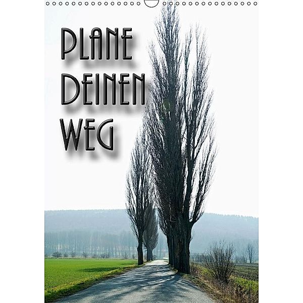 Plane deinen Weg (Wandkalender 2017 DIN A3 hoch), Flori0