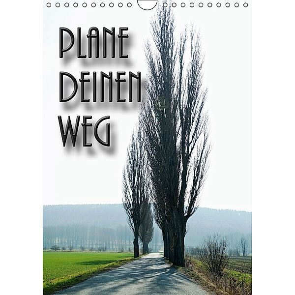 Plane deinen Weg (Wandkalender 2018 DIN A4 hoch), Flori0