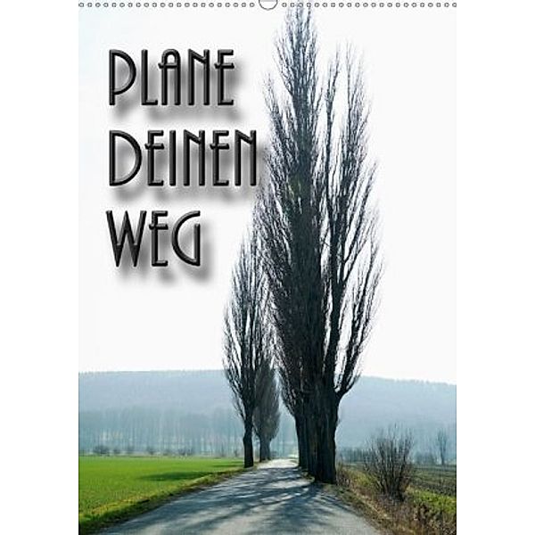 Plane deinen Weg (Wandkalender 2020 DIN A2 hoch)