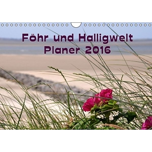 Planer Föhr und Halligwelt 2016 (Wandkalender 2016 DIN A4 quer), Doris Jerneinzick