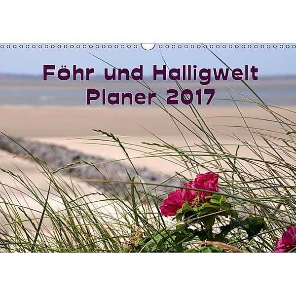 Planer Föhr und Halligwelt (Wandkalender 2017 DIN A3 quer), Doris Jerneinzick