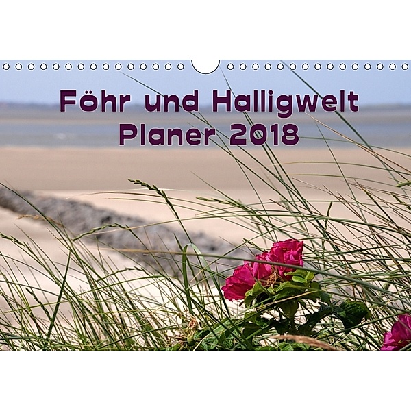 Planer Föhr und Halligwelt (Wandkalender 2018 DIN A4 quer), Doris Jerneinzick
