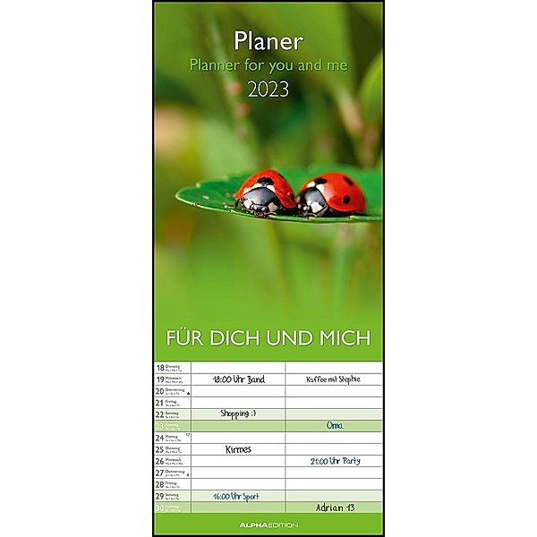 Planer Für Dich und mich 2023 - Familien-Timer 19,5x45 cm - 5 Spalten - Wand-Planer - viel Platz für Eintragungen - Fami