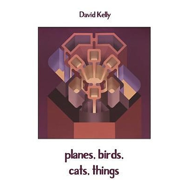 planes, birds, cats, things, David Kelly