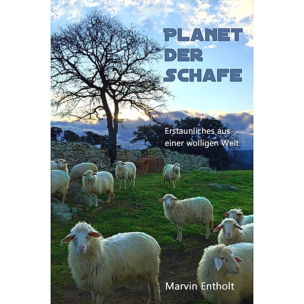 Planet der Schafe, Marvin Entholt