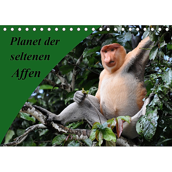 Planet der seltenen Affen (Tischkalender 2019 DIN A5 quer), Anja Edel