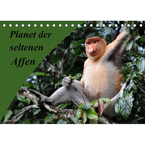 Planet der seltenen Affen (Tischkalender 2022 DIN A5 quer), Anja Edel