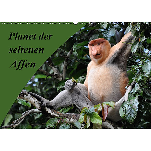 Planet der seltenen Affen (Wandkalender 2018 DIN A2 quer), Anja Edel