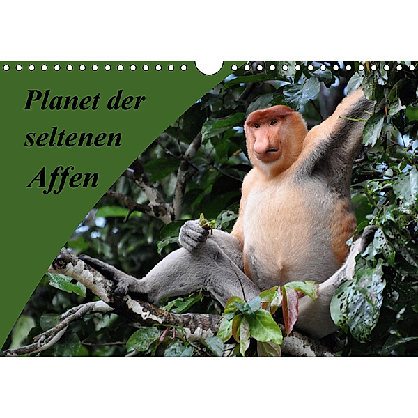 Planet der seltenen Affen (Wandkalender 2018 DIN A4 quer), Anja Edel
