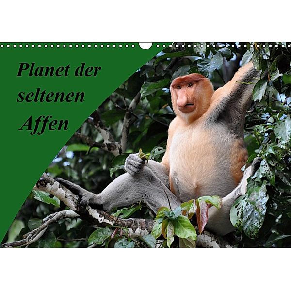 Planet der seltenen Affen (Wandkalender 2020 DIN A3 quer), Anja Edel