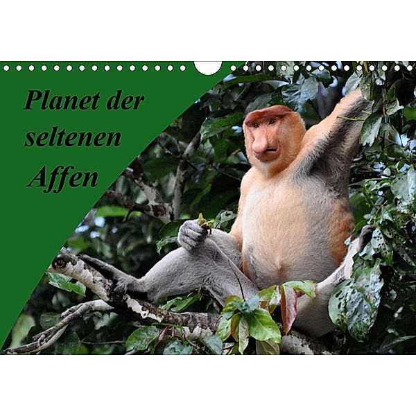 Planet der seltenen Affen (Wandkalender 2020 DIN A4 quer), Anja Edel