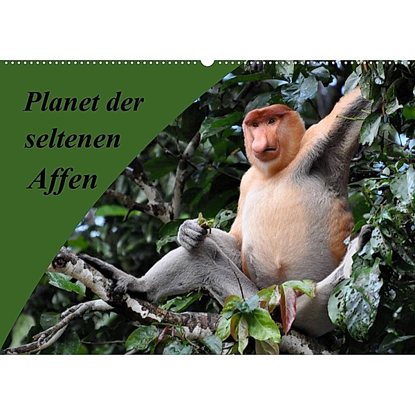 Planet der seltenen Affen (Wandkalender 2023 DIN A2 quer), Anja Edel
