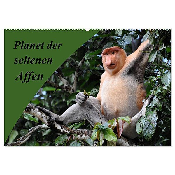 Planet der seltenen Affen (Wandkalender 2024 DIN A2 quer), CALVENDO Monatskalender, Anja Edel