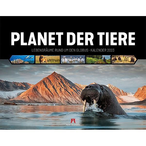 Planet der Tiere Kalender 2023, Ackermann Kunstverlag