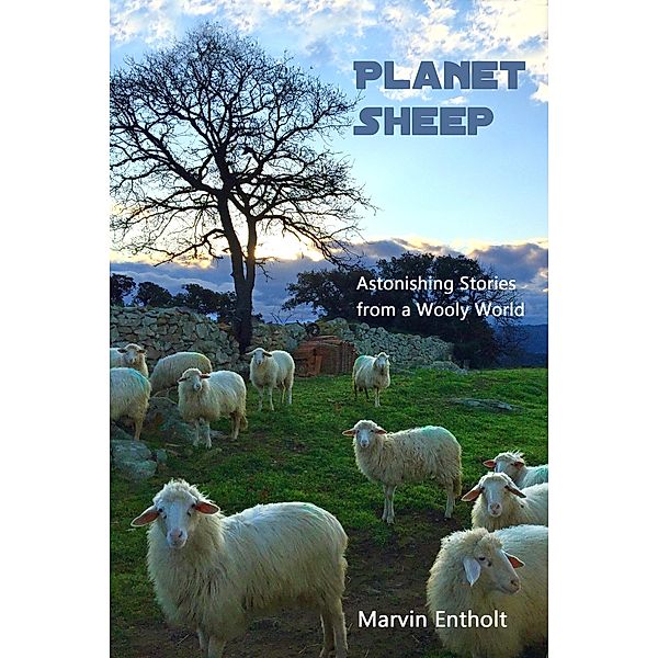 Planet Sheep, Marvin Entholt