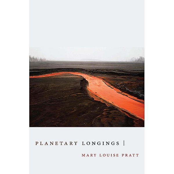 Planetary Longings / Dissident Acts, Pratt Mary Louise Pratt
