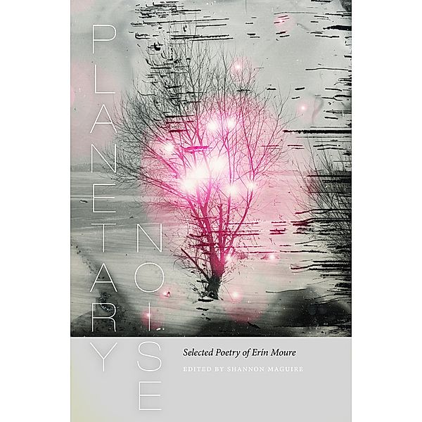 Planetary Noise / Wesleyan Poetry Series, Erín Moure