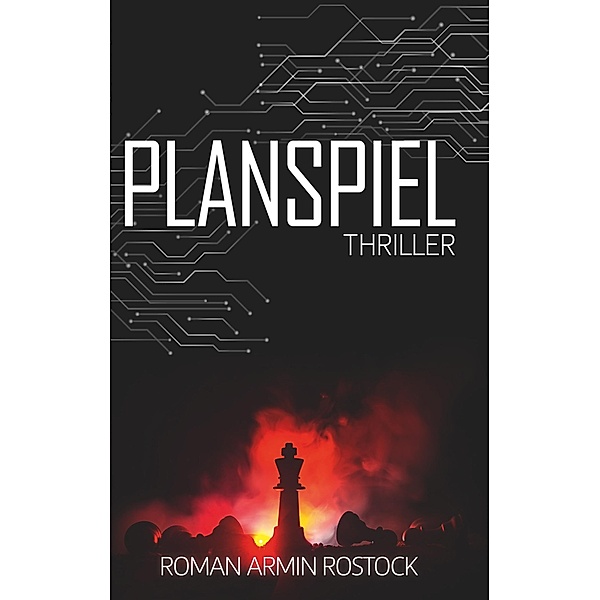 Planspiel, Roman Armin Rostock
